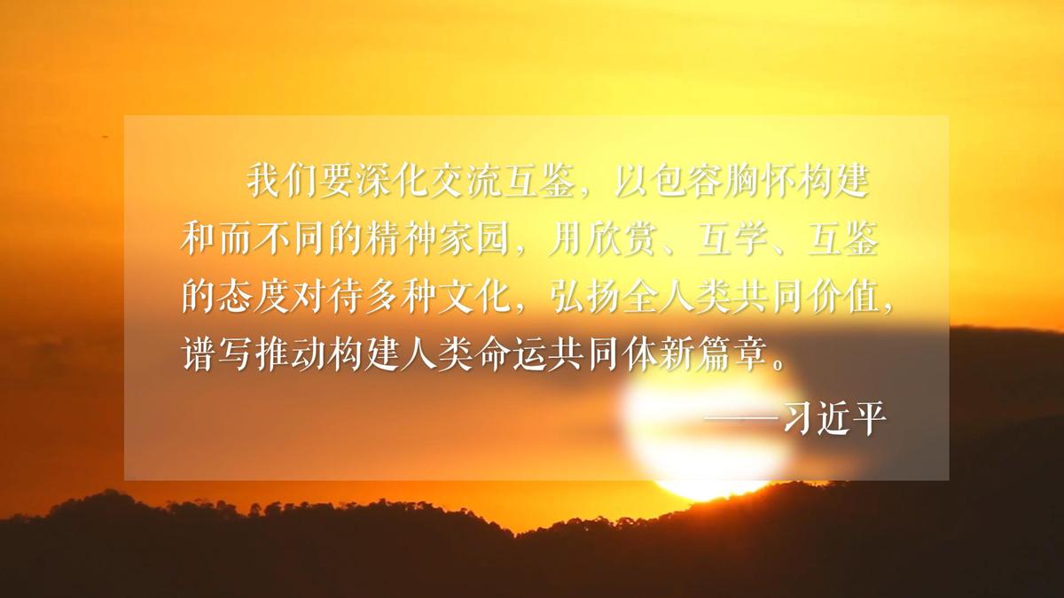 林陽蘇顏最新章節，命運交織的華章