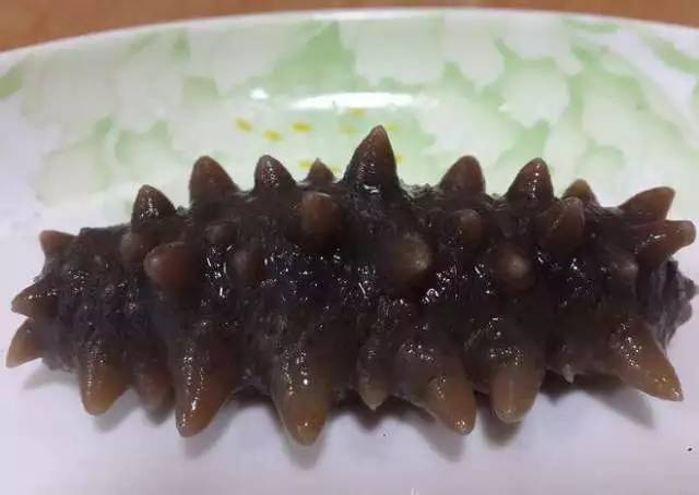 最新海參價(jià)格表，海參多少錢一斤？