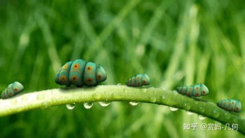 最新小電影，探索微觀世界的精彩瞬間