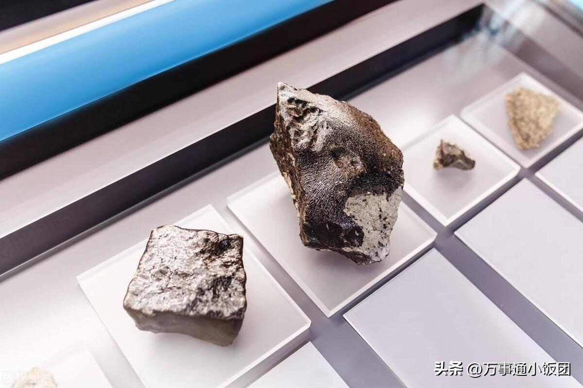 最新開獎結果，探索彩票世界的驚喜與期待